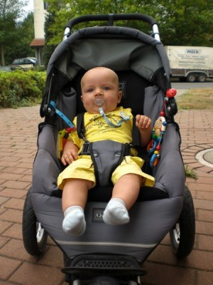 Moppy im Buggy2.jpg
