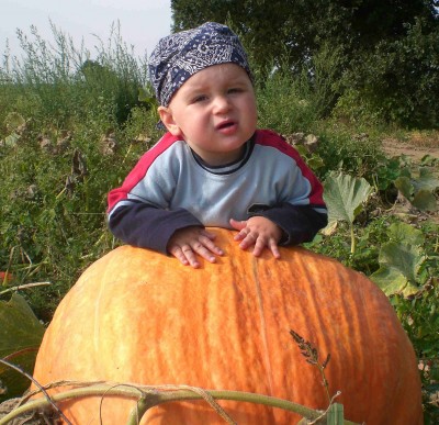 Der Herbst ist da ;)