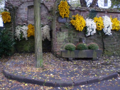 25.10. - Chrysamthema 027.jpg