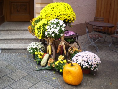 25.10. - Chrysamthema 040.jpg