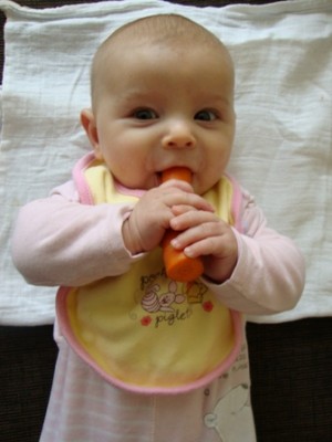 Schmeckt ganz prima das Möhrchen!