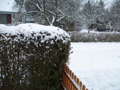 Silvester 20096.1 083.jpg