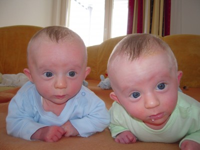 Vor Anstrengung läuft der Sabber.JPG