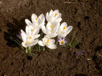 PICT4356.JPG