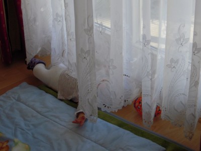 Ben und die Gardine - Forum.jpg