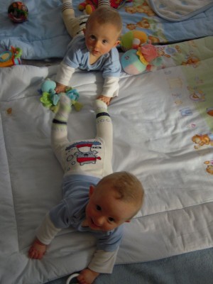 Die Schlange zum Essen - Forum.jpg