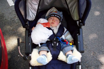 mit 7 Monaten: wir hatten zusätzlich den Maxi Cosie Sitzverkleinerer mit rein, da sonst die Gurte seitlich an den Schultern lagen und nicht auf den Schultern, da sehr großzügig geschnitten<br />sowie ein Lammfell, was er noch heute drin hat, da er sonst zu weit unten säße und die Gurte an den Wangen wären