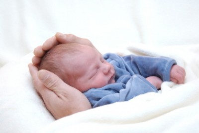 Ist der nicht süß?