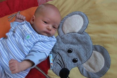 Gummibärchen komprimiert.jpg