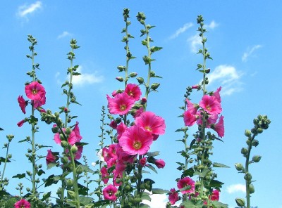 Alles Gute zum Geburtstag!