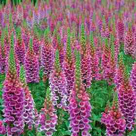 Herzlichen Glückwunsch zum Geburtstag!