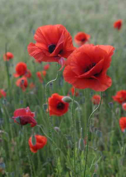 Herzlichen Glückwunsch zum Geburtstag!