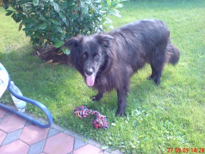 So sah sie vorher aus