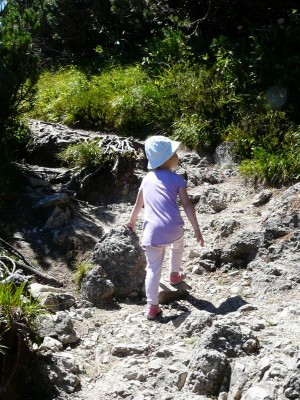 K800_Herzogsstand 166.JPG