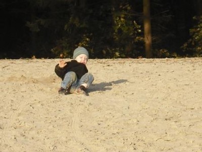 Schloß Dankern 2010 058.jpg klein putz.jpg