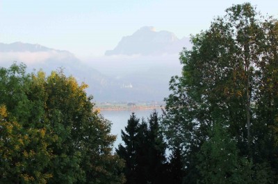 Fensteraussicht auf Schloss Neuschwanstein