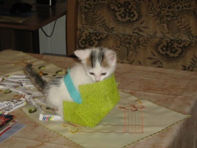 Krümel im Zuckerkörbchen.JPG