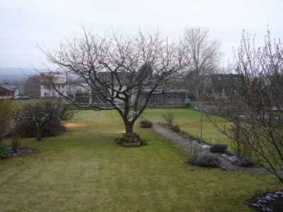 Unser Garten Montag Morgen.jpg