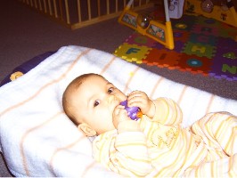 JD310378 mit lila Ente.jpg