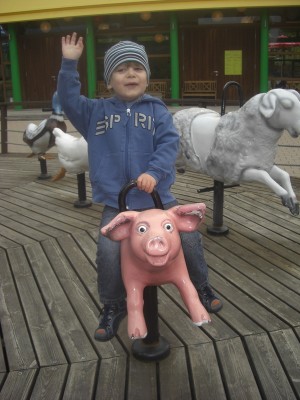 Rodeo-Reiter