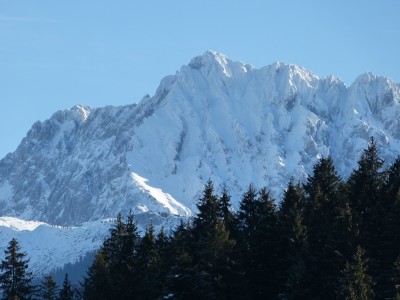 vor alpen.jpg