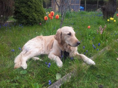 IMG-20120422-WA0000 (800x600) (800x600).jpg