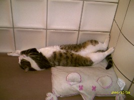 bilder011005 044.jpg