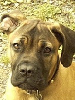 Boh ,watt bin ich schön!