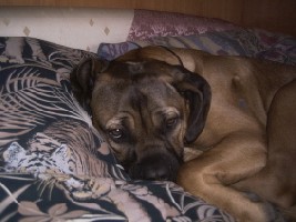 so ist das Leben schön!