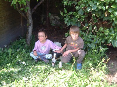 der Hund und die Kinder