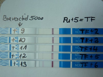 Testreihe 30.7.13.jpg