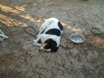 Avia bei ihrer Lieblingsbeschäftigung