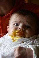 schmeckt Kürbis wirklich.jpg