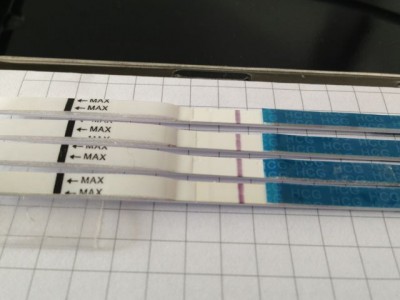 Testreihe HCG Abbau ICSI 4.jpg