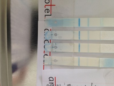 CBD nicht schwanger.jpg