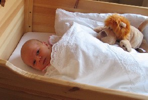 Elise und der Löwe 1.jpg