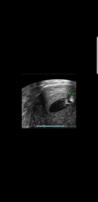 Screenshot_20191209-110045_Gmail (1).jpg