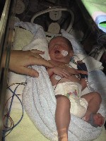 Elia_2 22[1].11.2005.JPG