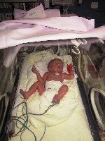 Josha 22[1].11.2005.JPG