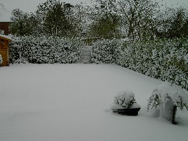 PICT0303.JPG